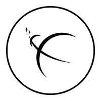 Sidereus Space Dynamics logo